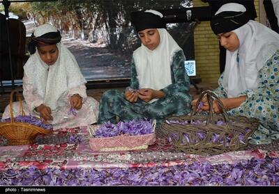 ششمین جشنواره زعفران بهاباد؛ گامی برای برندسازی طلای سرخ- عکس صفحه استان تسنیم | Tasnim