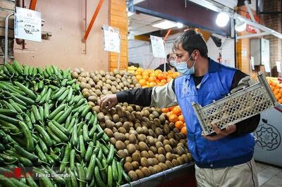 نرخ انواع میوه و سبزیجات در میدان میوه و تره بار؛ ۲۶ آبان ۱۴۰۳