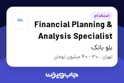 استخدام Financial Planning   Analysis Specialist در بلو بانک