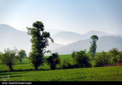 خسارت‌گاز و راه به منابع طبیعی مازندران پرداخت نشد - تسنیم