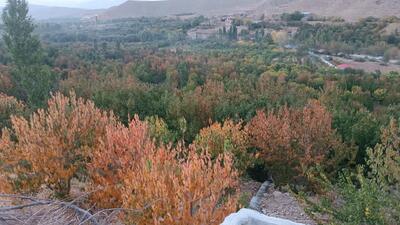 طبیعت گردی به وقت پاییز در روستای سارکانلو به روایت تصویر