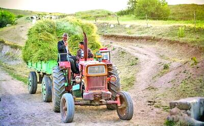 فرسودگی، بلای جان کشاورزی