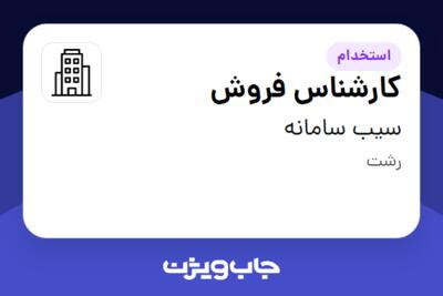 استخدام کارشناس فروش - خانم در سیب سامانه