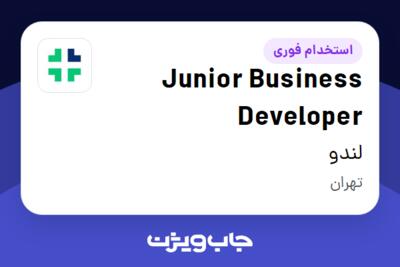 استخدام Junior Business Developer در لندو