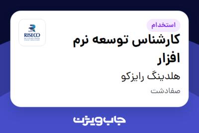 استخدام کارشناس توسعه نرم افزار در هلدینگ رایزکو