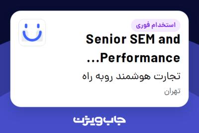 استخدام Senior SEM and Performance Marketing Specialist در تجارت هوشمند روبه راه