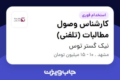 استخدام کارشناس وصول مطالبات (تلفنی) در نیک گستر توس