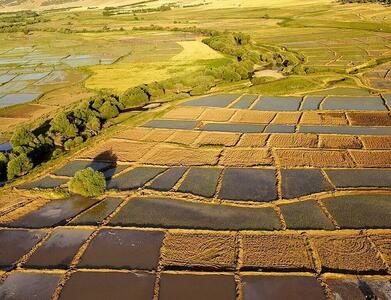 رفع تداخلات، لازمه اجرای قانون الزام به ثبت رسمی معاملات اموال غیرمنقول است