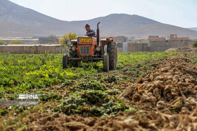 ۱۸۴ روستای خراسان شمالی زیر پوشش طرح «همگام با کشاورز» رفت