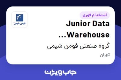 استخدام Junior Data Warehouse Developer در گروه صنعتی فومن شیمی