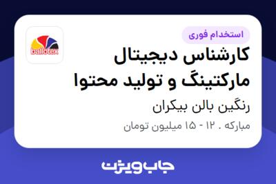 استخدام کارشناس دیجیتال مارکتینگ و تولید محتوا در رنگین بالن بیکران