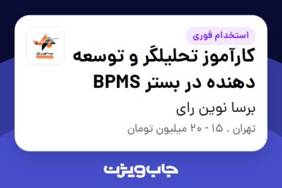 استخدام کارآموز تحلیلگر و توسعه دهنده در بستر BPMS در برسا نوین رای