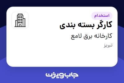 استخدام کارگر بسته بندی - خانم در کارخانه برق لامع