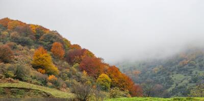 تصاویر/ پاییز در گردنه حیران