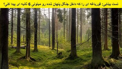 تست بینایی: قورباغه ای را که داخل جنگل پنهان شده رو میتونی 6 ثانیه ای پیدا کنی؟