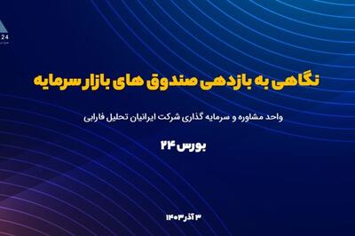 سکه بهار آزادی یک ساله 92 درصد سود داد ؛ صندوق های طلا در بورس تا 97 درصد ؛ علت چیست؟ + لیست پربازده ترین ها