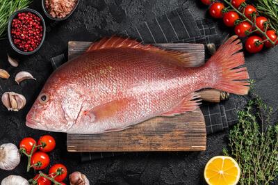  خواص طلایی ماهی سرخو برای سلامتی