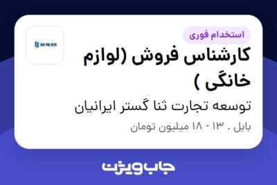 استخدام کارشناس فروش (لوازم خانگی ) - آقا در توسعه تجارت ثنا گستر ایرانیان