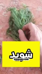 خواص انواع سبزی خوردن که نمی دانید + فیلم