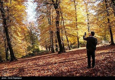 سمفونی رنگ ها در پاییز گیلان