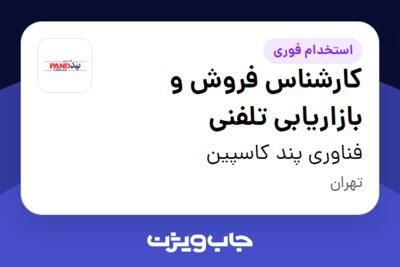 استخدام کارشناس فروش و بازاریابی تلفنی در فناوری پند کاسپین