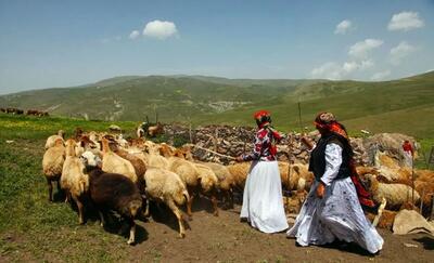 سوخت زمستانی برای عشایر مهمان ایلام تأمین می‌شود