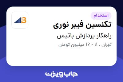 استخدام تکنسین فیبر نوری - آقا در راهکار پردازش باتیس