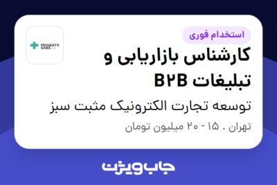 استخدام کارشناس بازاریابی و تبلیغات B2B در توسعه تجارت الکترونیک مثبت سبز