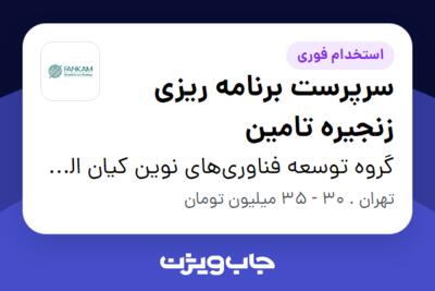 استخدام سرپرست برنامه ریزی زنجیره تامین در گروه توسعه فناوری‌های نوین کیان الماس مهر (فنکام)