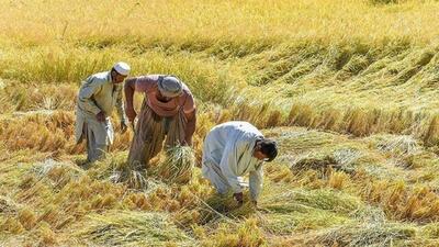 اتمام حجت مدعی العموم در موضوع بکارگیری اتباع غیرمجاز