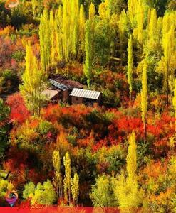 عکس/ پاییز تماشایی و درخشان در روستای شهرستانک تهران | اقتصاد24