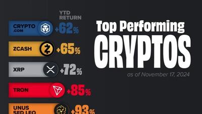 (اینفوگرافی) برترین و موفق ترین ارزهای دیجیتال در سال ۲۰۲۴
