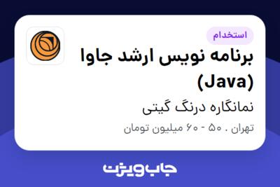 استخدام برنامه نویس ارشد جاوا (Java) - آقا در نمانگاره درنگ گیتی