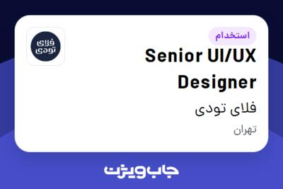 استخدام Senior UI/UX Designer در فلای تودی