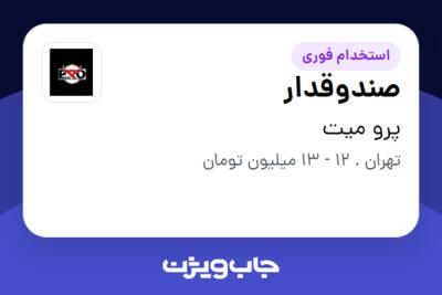 استخدام صندوقدار - خانم در پرو میت