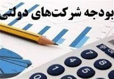 بودجه سال آینده شرکت‌های دولتی نیازمند اصلاح