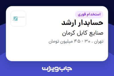 استخدام حسابدار ارشد - خانم در صنایع کابل کرمان