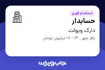 استخدام حسابدار در دارک ویولت