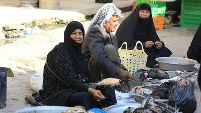 تخت جمشیدهای زنده ایران در حال نابودی هستند/خطر انقراض ماهی های آب های ایران در پی بی توجهی مسئولان شیلات!