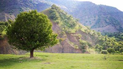 روستای زیبای چم سنگر دورود+فیلم