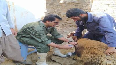 اردوی جهادی دامپزشکی در روستای خیرآباد تویسرکان