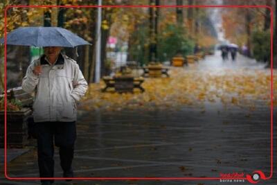 بارش باران در رانکوه املش