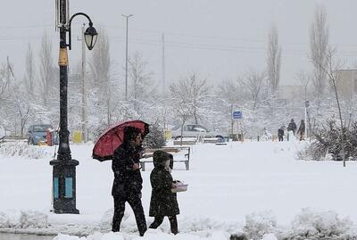 تعطیلی برخی مدارس مازندران براثر یخبندان