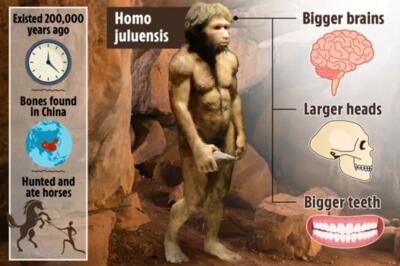 کشف یک گونه انسانیِ ۲۰۰،۰۰۰ ساله با مغز و سر بزرگتر!