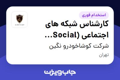 استخدام کارشناس شبکه های اجتماعی (Social Media) در شرکت کوشاخودرو نگین