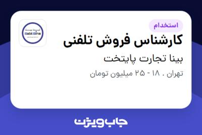 استخدام کارشناس فروش تلفنی در بینا تجارت پایتخت