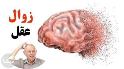 میگنا - یک عامل کاهش خطر ابتلا به زوال عقل