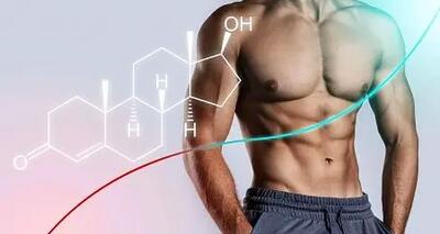 عواملی که باعث کاهش هورمون تستوسترون می شود چیست؟ + روش‌های طبیعی افزایش تستوسترون