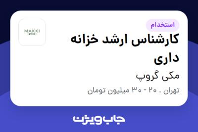 استخدام کارشناس ارشد خزانه داری در مکی گروپ