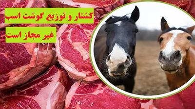 کشتار و توزیع گوشت اسب غیرمجاز است